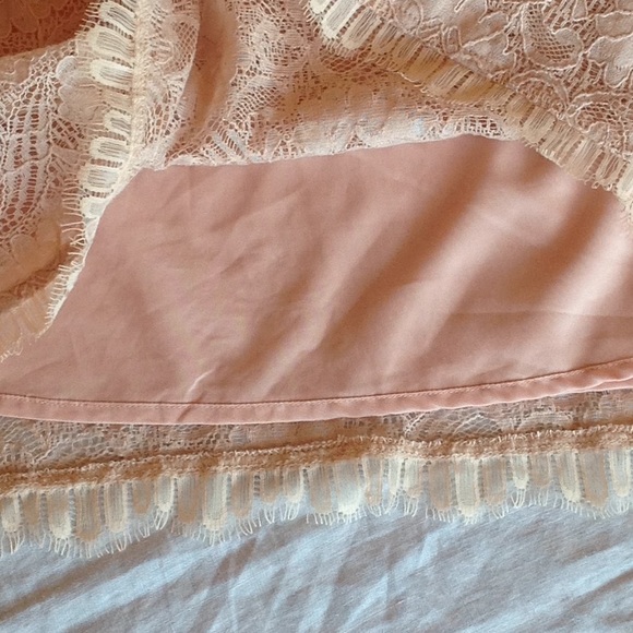 Reposh- NY & Co. Blush Lace shift dress, EUC, XL - Picture 5 of 5